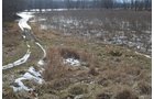 Property photo 6 - East Allen County Land Auction - 40 Acres in 2 Tracts